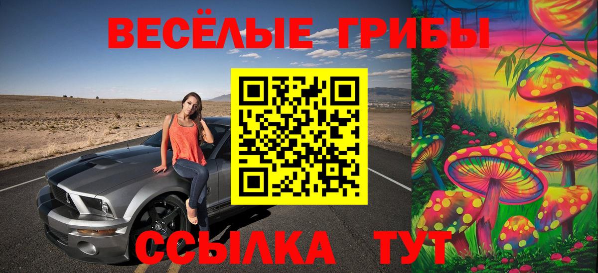 Галлюциногенные грибы Psilocybine cubensis  Вход с VPN  Лыткарино  Псилоцибиновые грибы GOLDEN TEACHER 